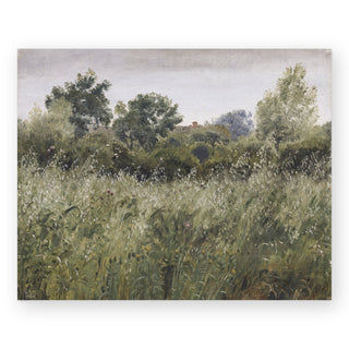 wild-field-art-print_Featured