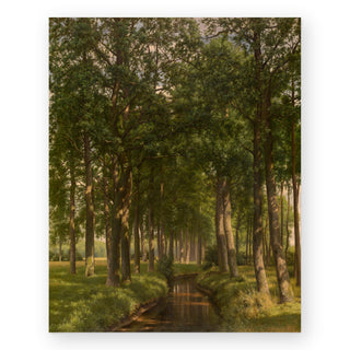 wood-bathing-in-sunshine-art-print_Featured