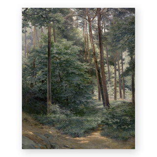 woods-art-print_Featured