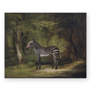 zebra-art-print_Featured