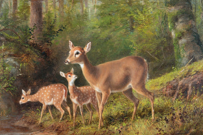 A DOE AND TWO FAWNS