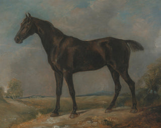BLACK RIDING HORSE