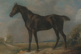BLACK RIDING HORSE