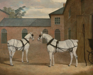 CARRIAGE HORSES