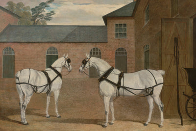 CARRIAGE HORSES