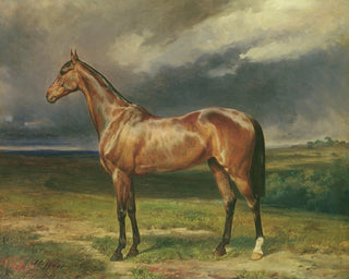 CHESTNUT ARAB HORSE