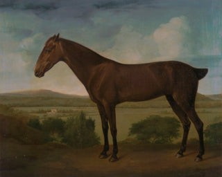DARK BROWN HORSE