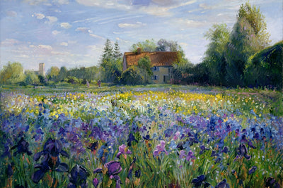 EVENING AT THE IRIS FIELD