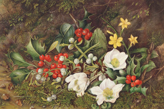 HOLLY AND CHRISTMAS ROSES