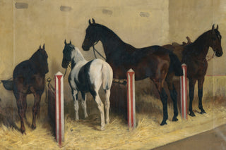 HORSES IN STABLE