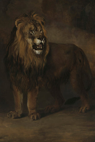 LION II