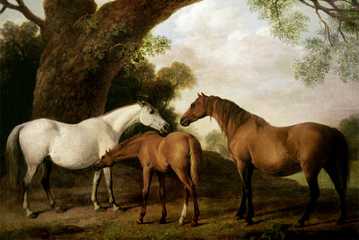 MARES AND FOAL
