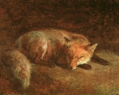 SLEEPING FOX