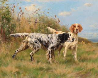 TWO ENGLISH SETTERS